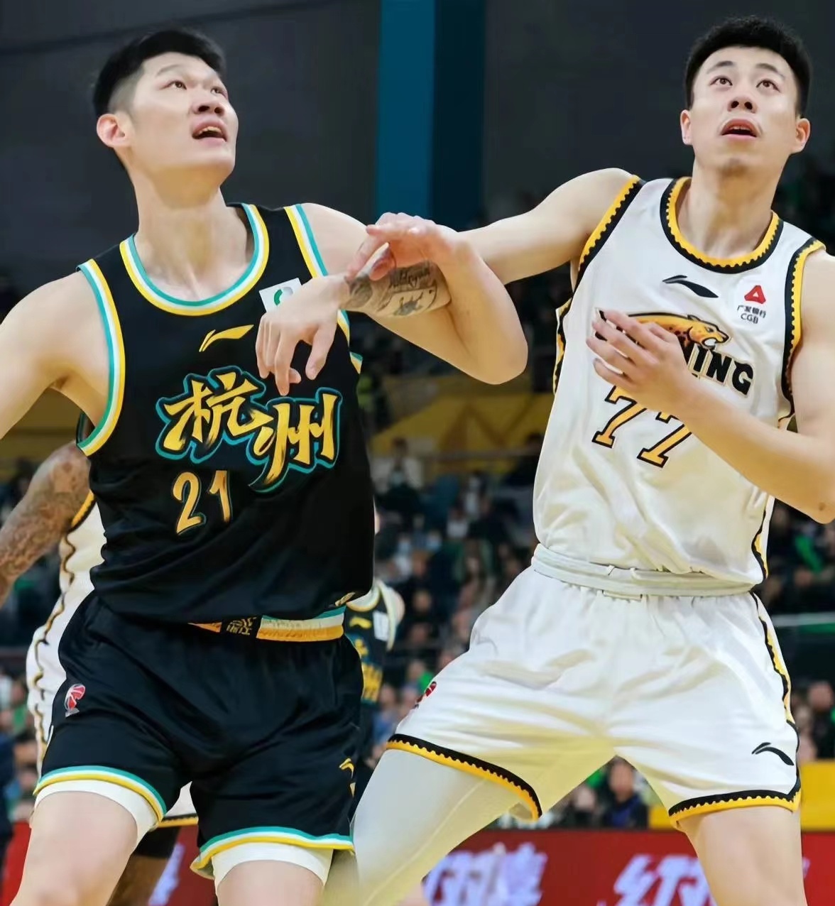 NBL分享苏科男篮集锦全能表现体现老将作用(一世倾城苏小暖全文免费阅读)