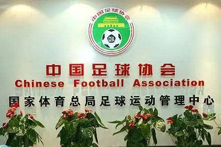 中国足协招标打造中国足球行业大模型，投标限价1068万元的简单介绍